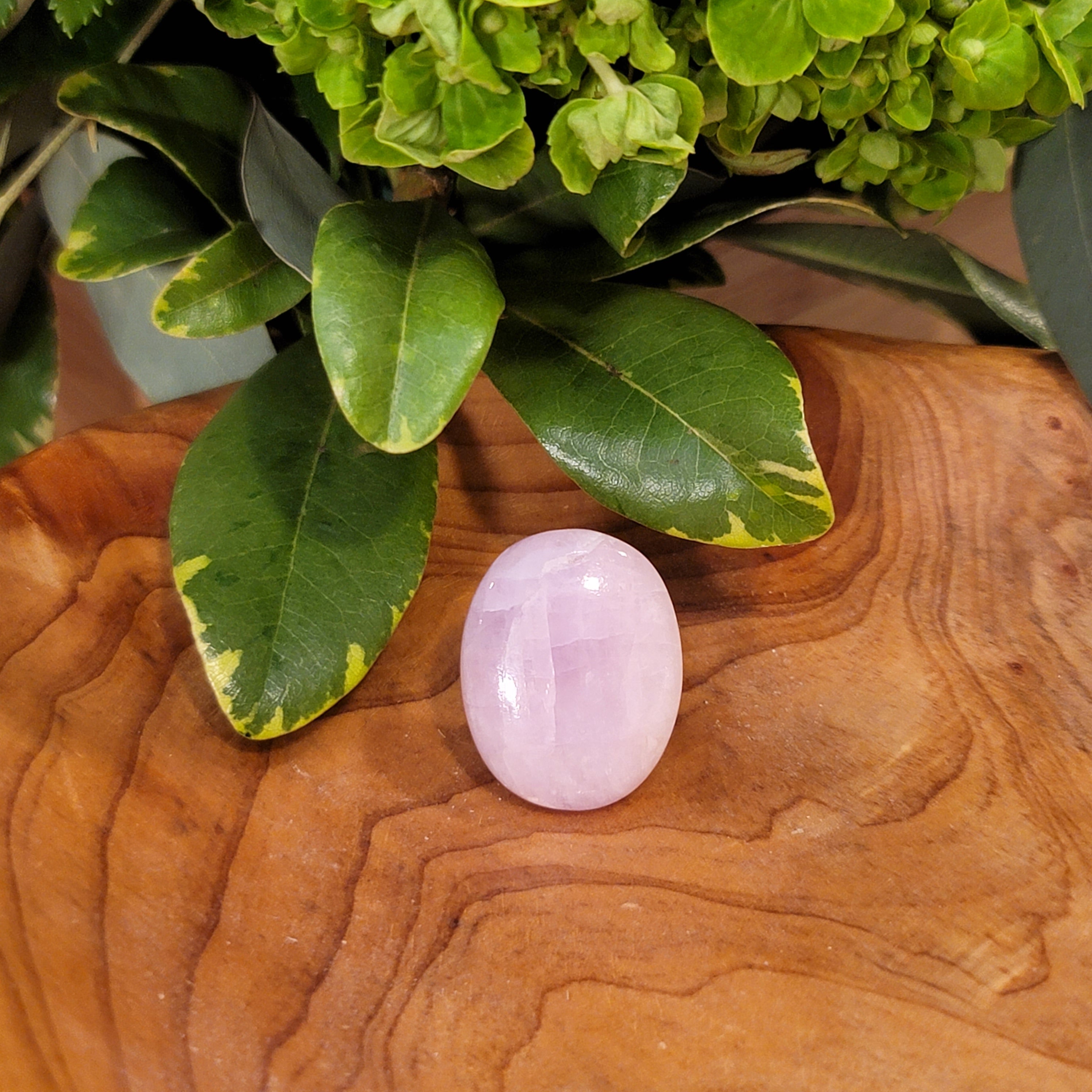 Kunzite Palm for Emotional, Family Healing and Opening Your Heart to Love
