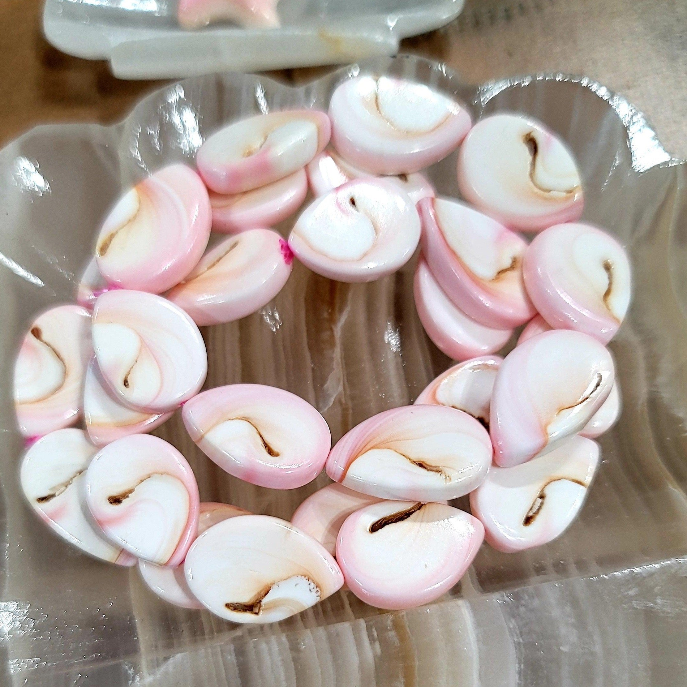 Oval Conch Shell Bracelets