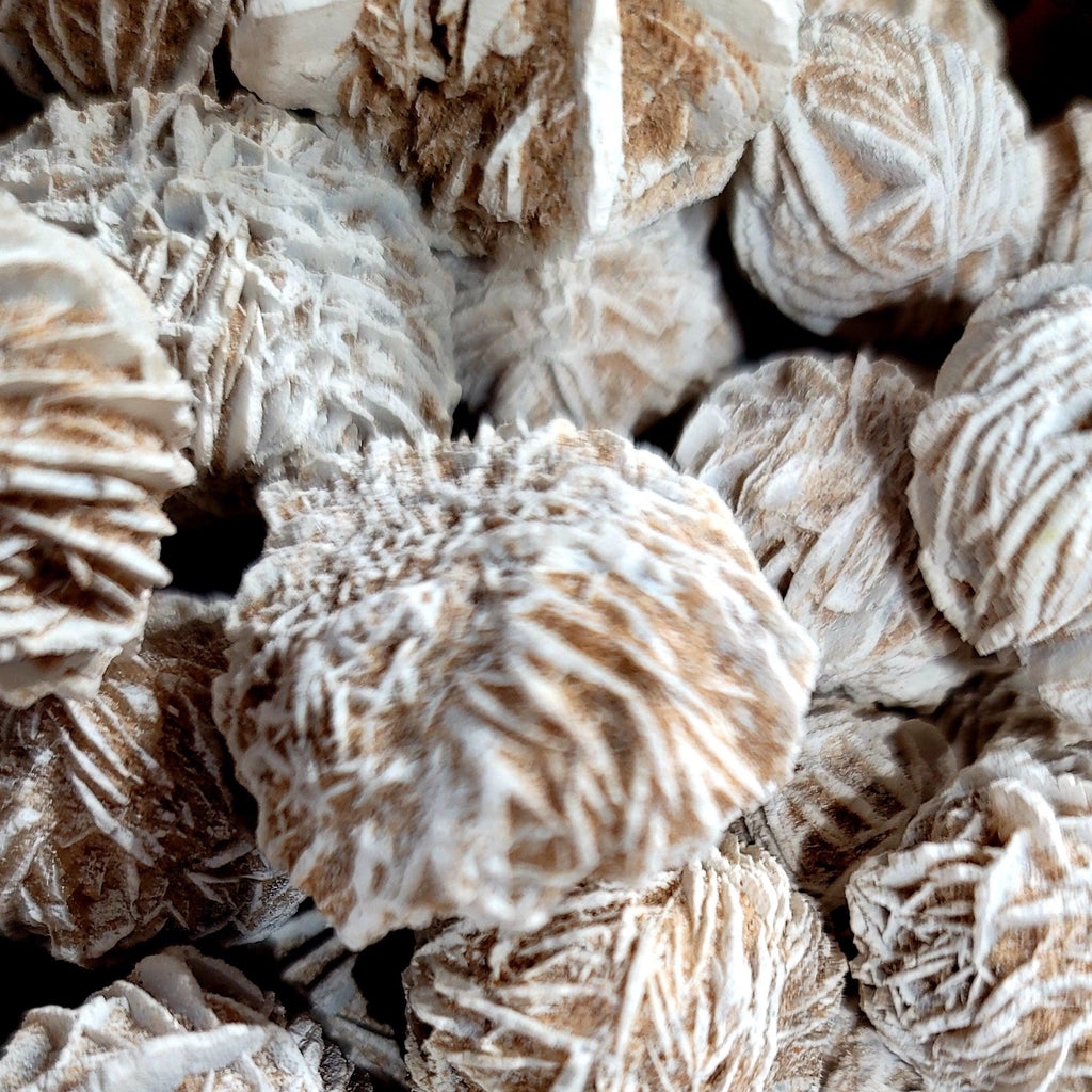 Desert Rose for Purification, Protection & Prosperity – Enchanting