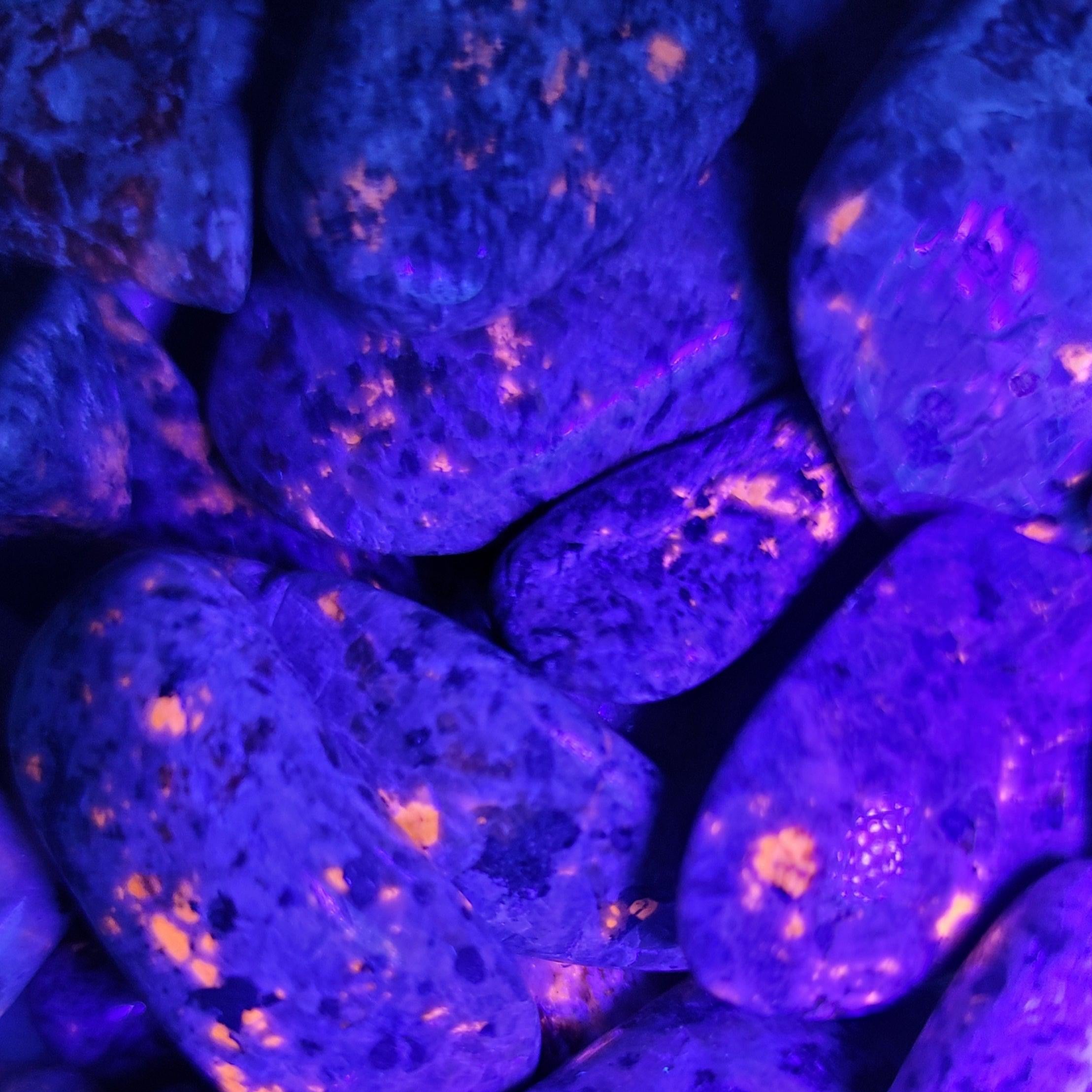 Yooperlite (Fluorescent Sodalite) Tumble from Michigan