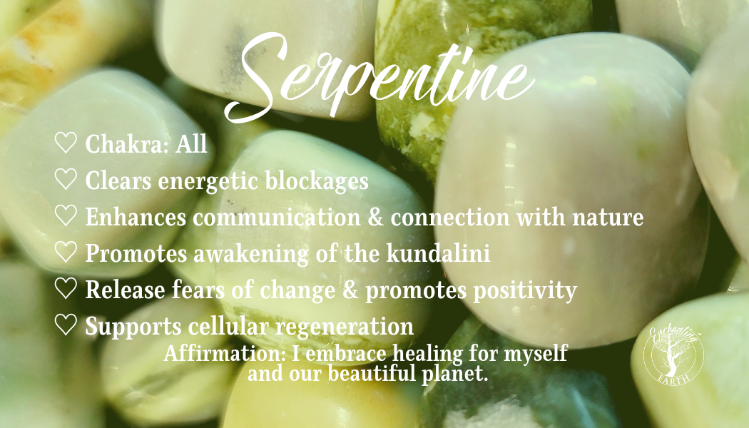 Serpentine Bracelet for Clearing Energetic Blockages and Cellular Regeneration