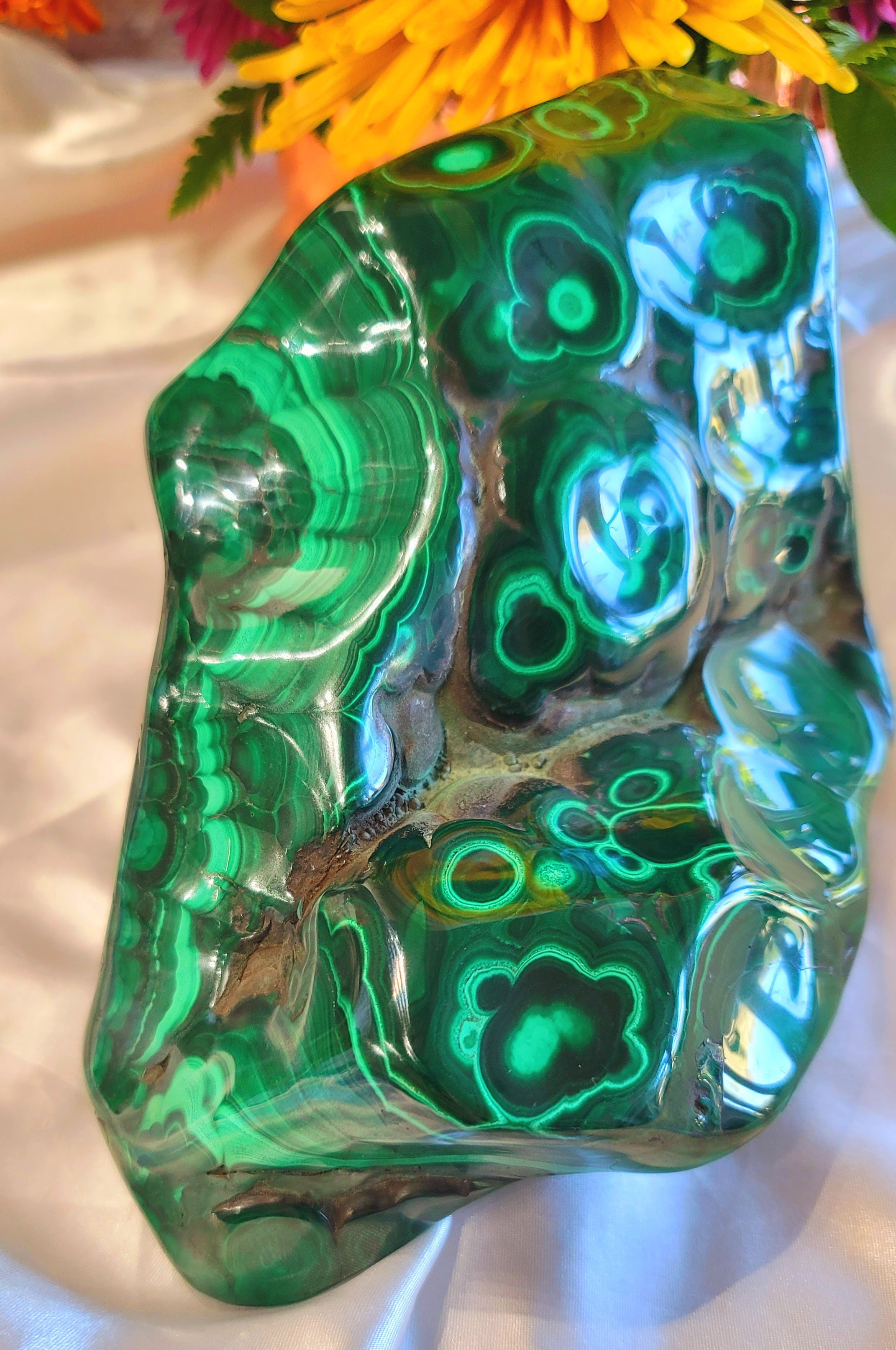 XL Malachite Free Form for Abundance, Protection and Transformation
