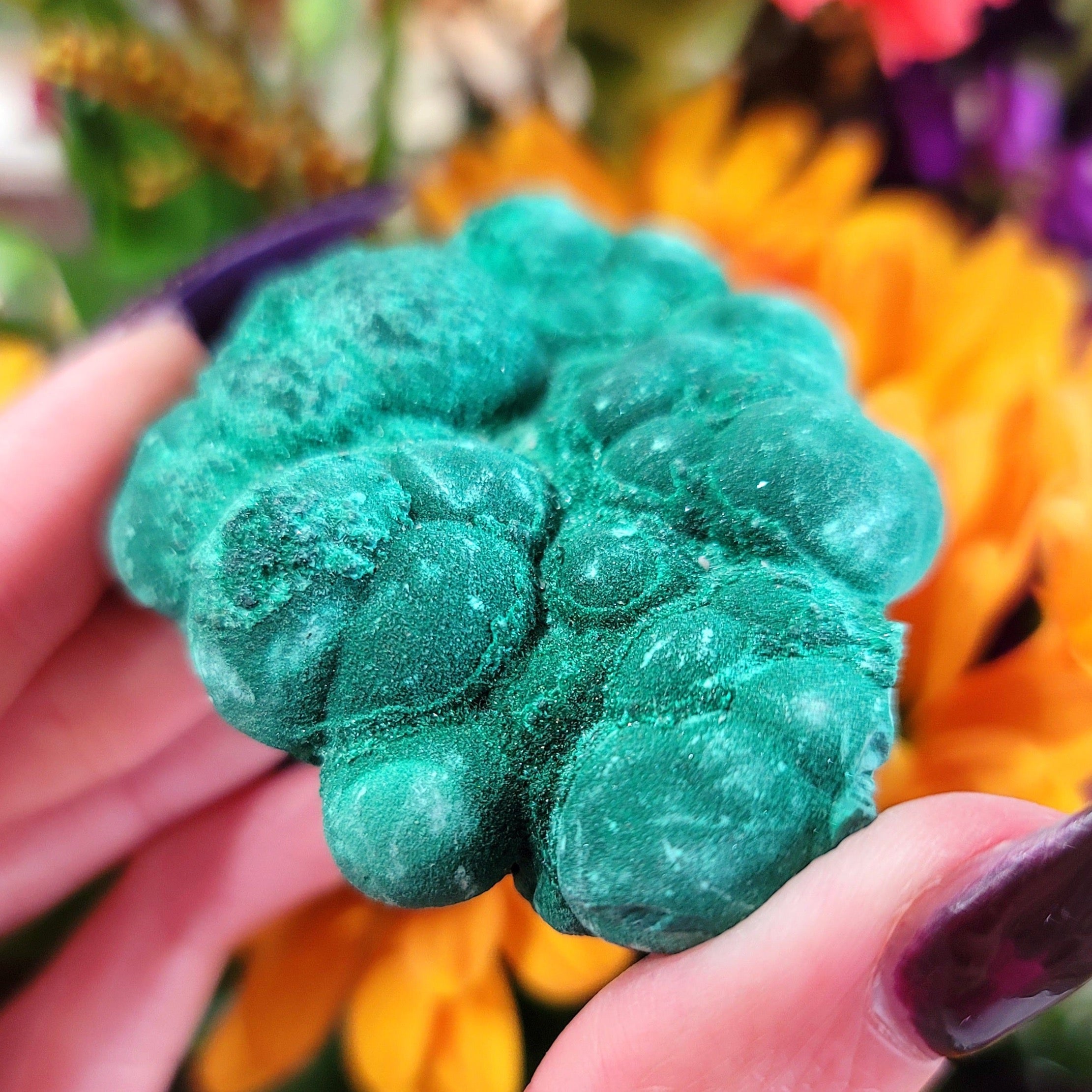Incredible Sparkly Malachite Specimen for Abundance, Protection and Transformation
