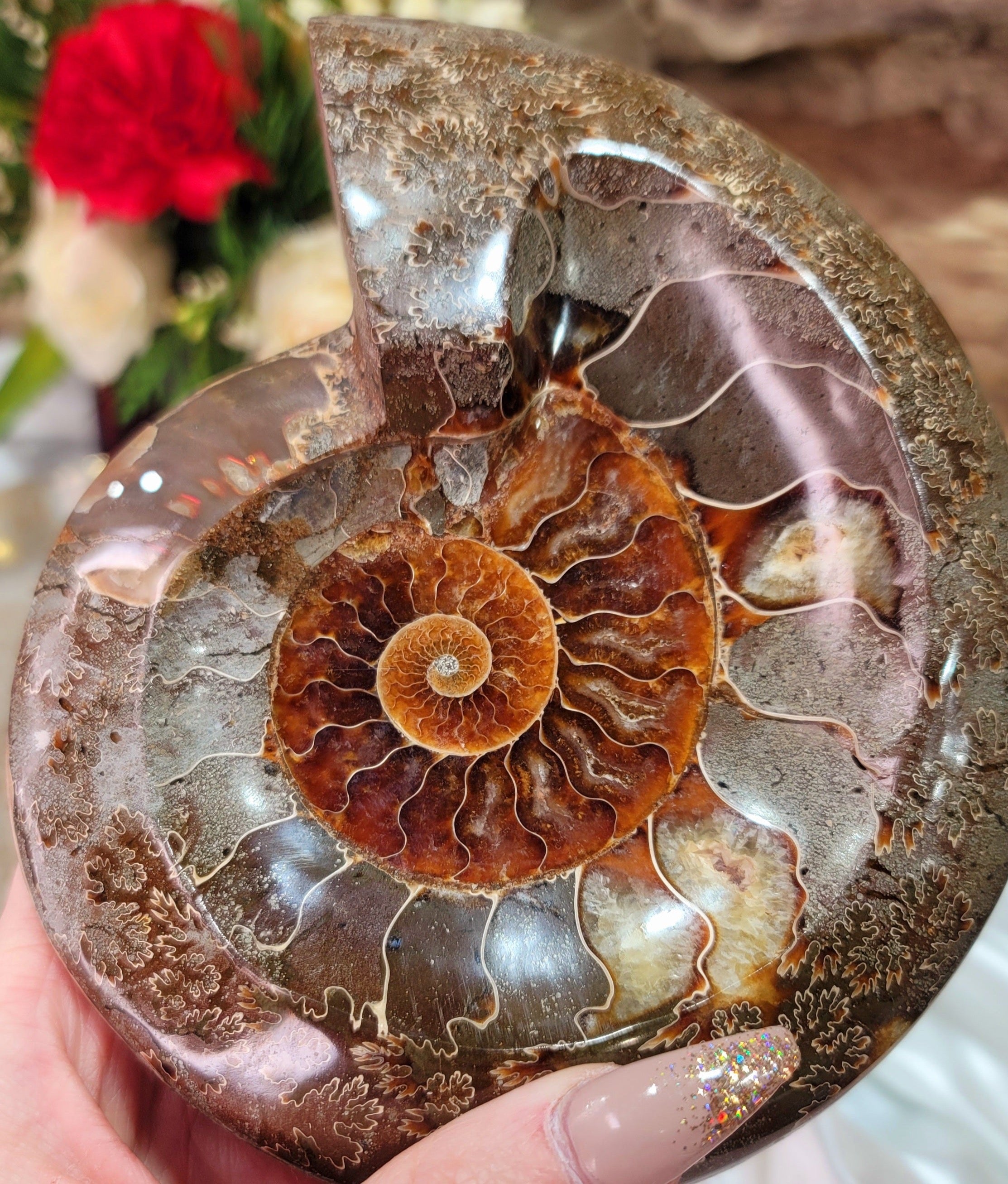 Ammonite Bowl for Balance, Good Luck, Positive Energy and Protection (154Q)