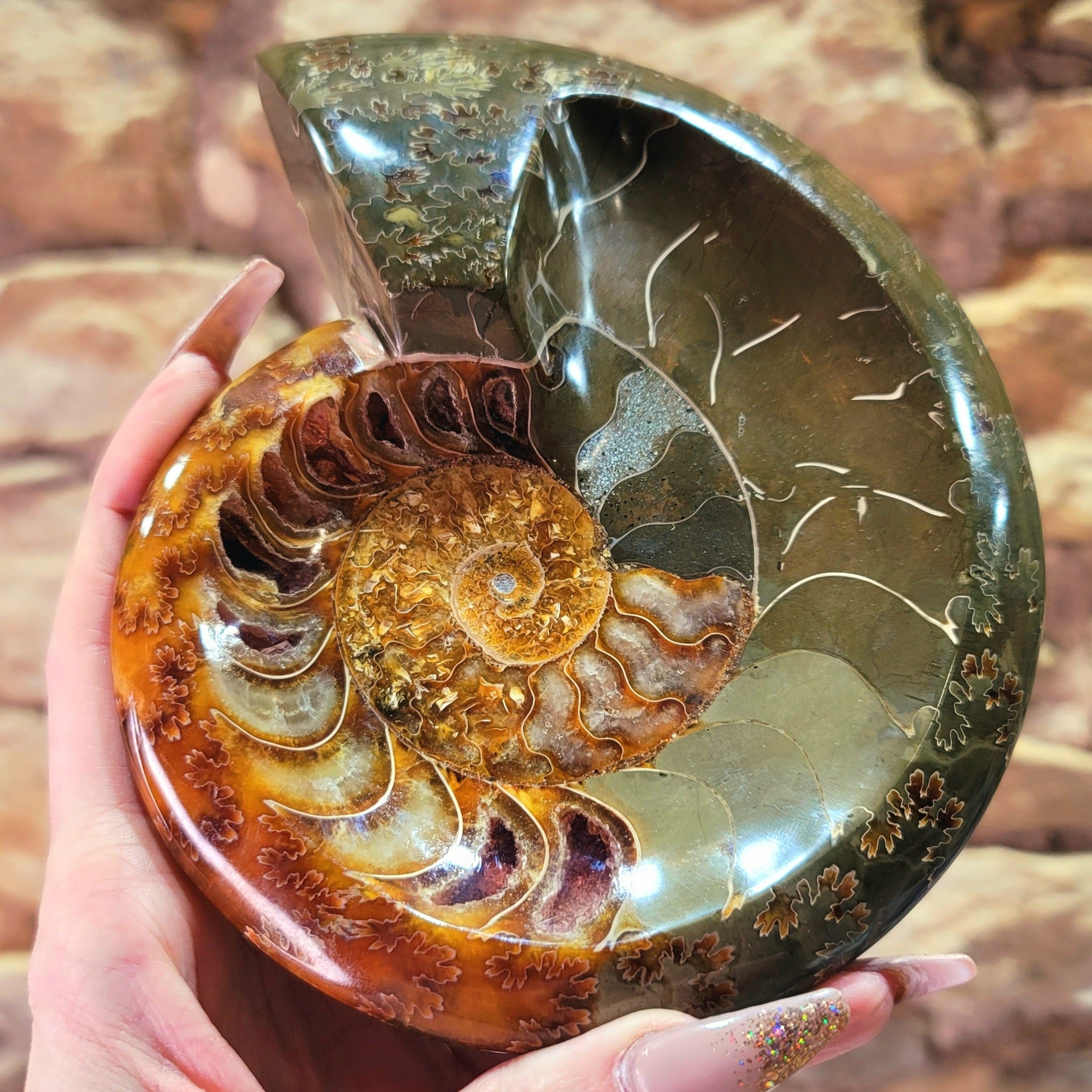 Ammonite Bowl for Balance, Good Luck, Positive Energy and Protection (147R)