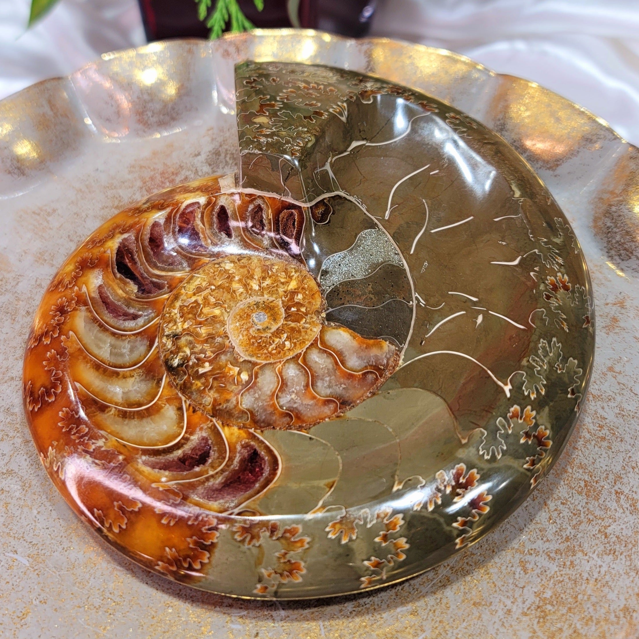 Ammonite Bowl for Balance, Good Luck, Positive Energy and Protection (147R)