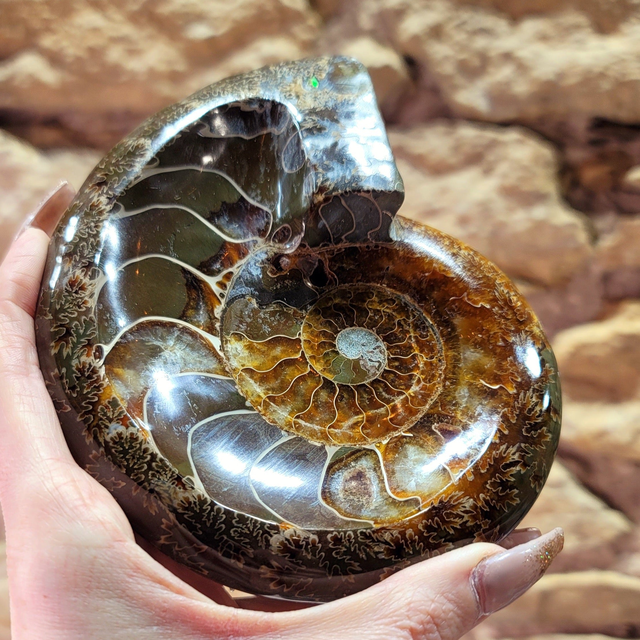 Ammonite Bowl for Balance, Good Luck, Positive Energy and Protection (135K)