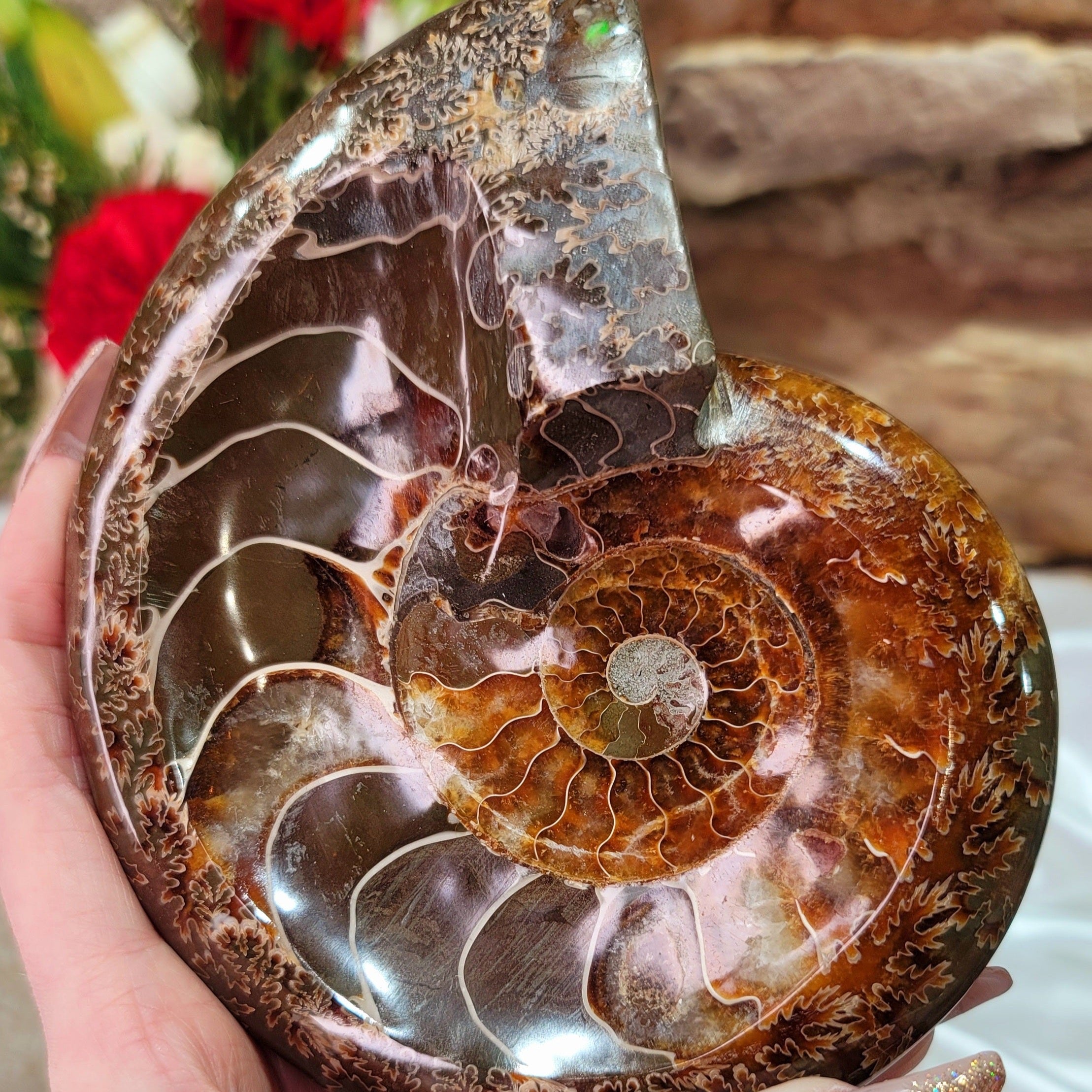 Ammonite Bowl for Balance, Good Luck, Positive Energy and Protection (135K)