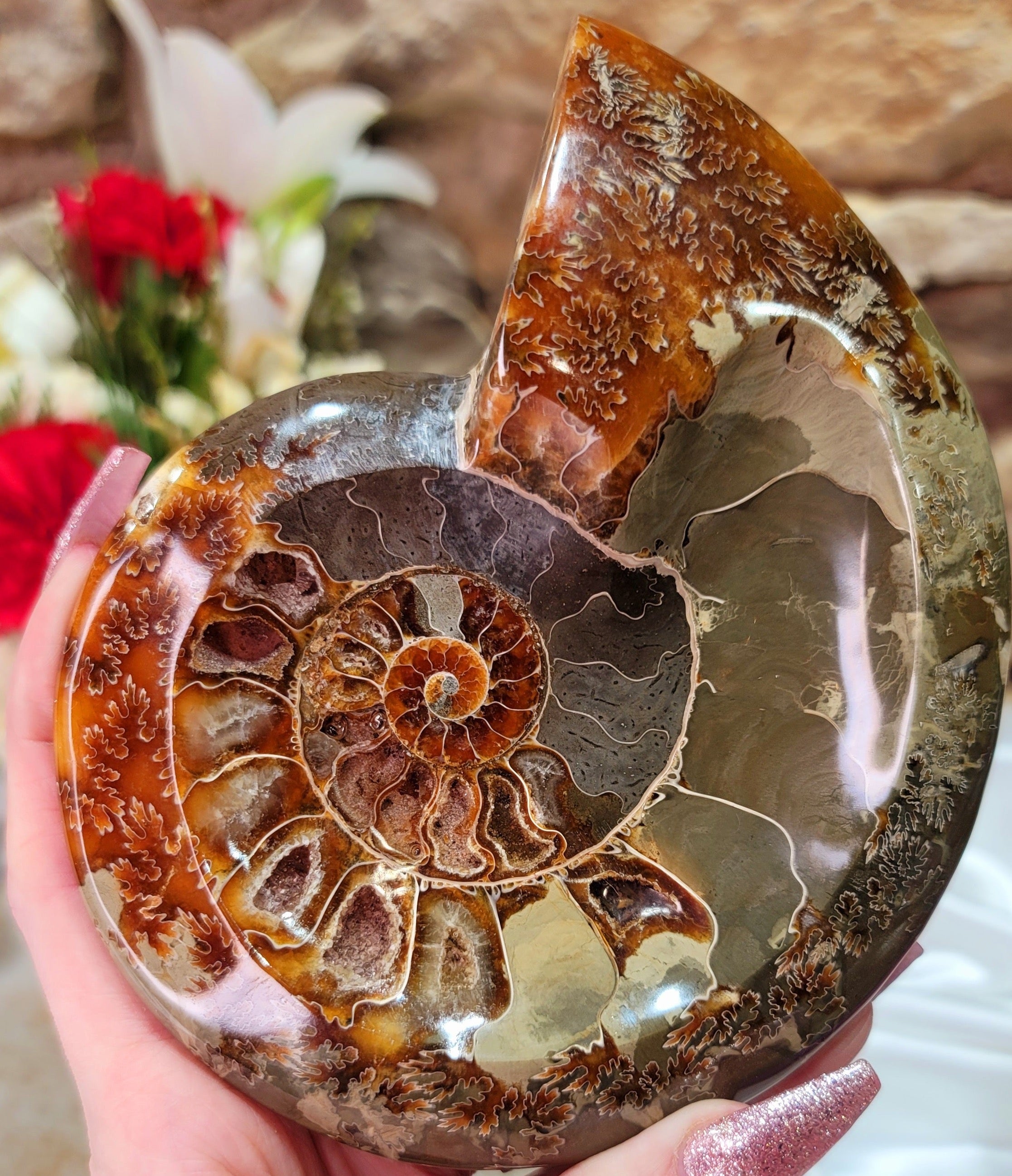 Ammonite Bowl for Balance, Good Luck, Positive Energy and Protection (122V)
