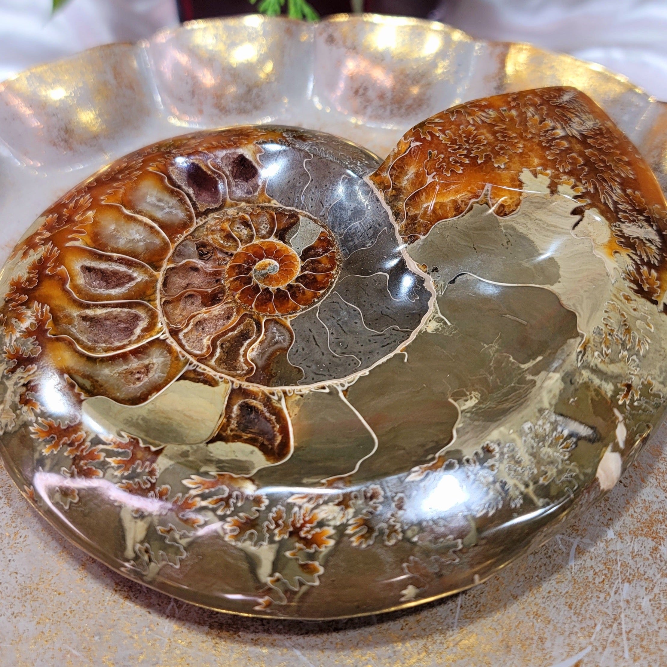 Ammonite Bowl for Balance, Good Luck, Positive Energy and Protection (122V)