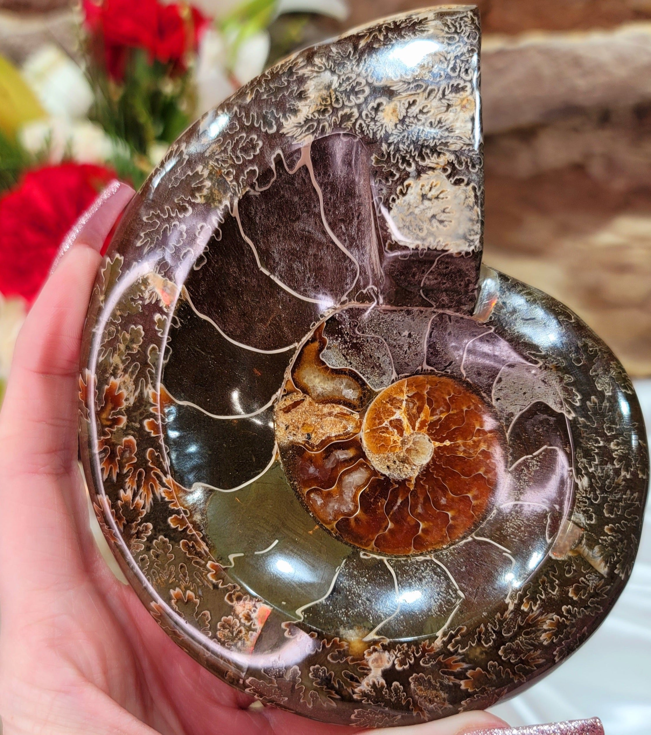 Ammonite Bowl for Balance, Good Luck, Positive Energy and Protection (104O)