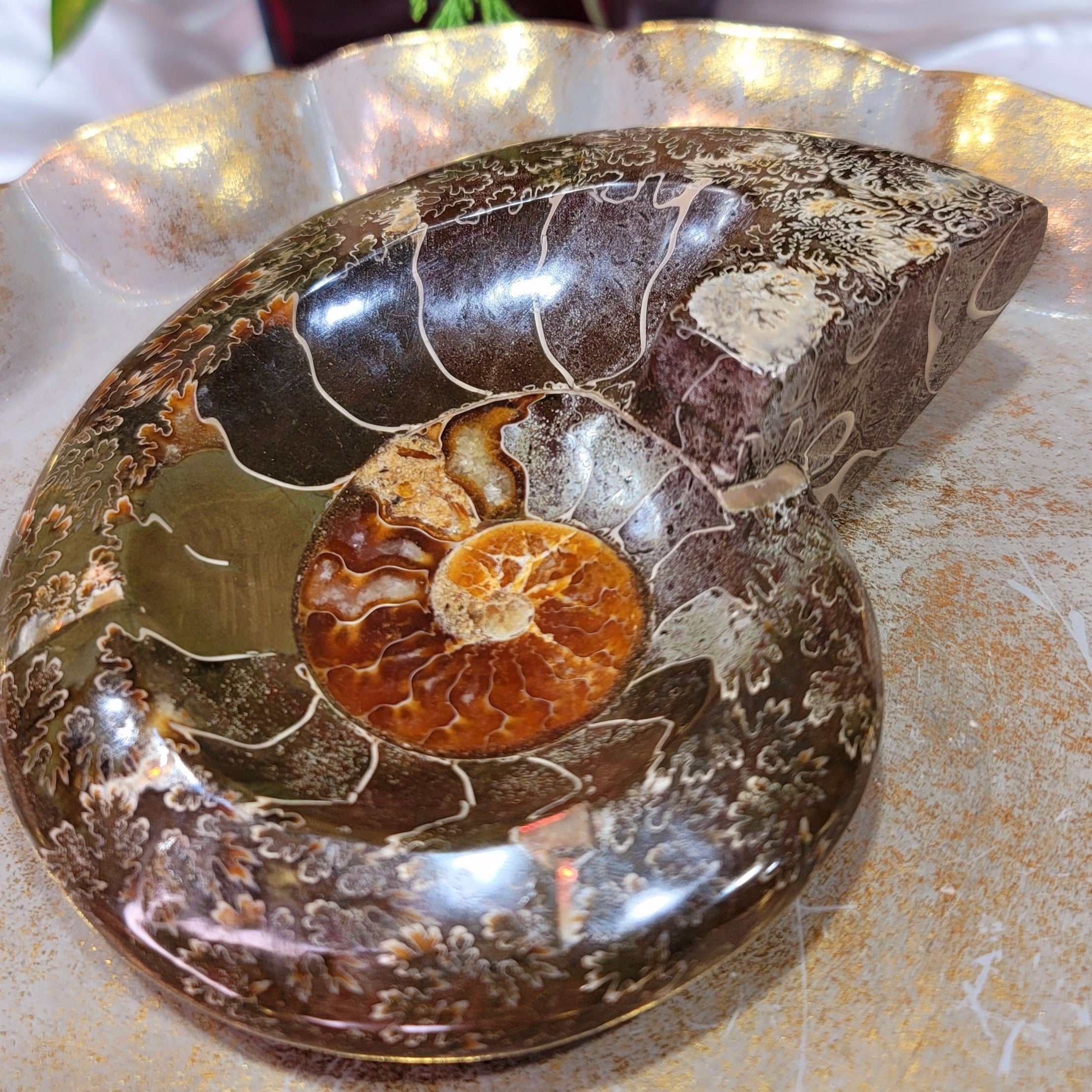 Ammonite Bowl for Balance, Good Luck, Positive Energy and Protection (104O)