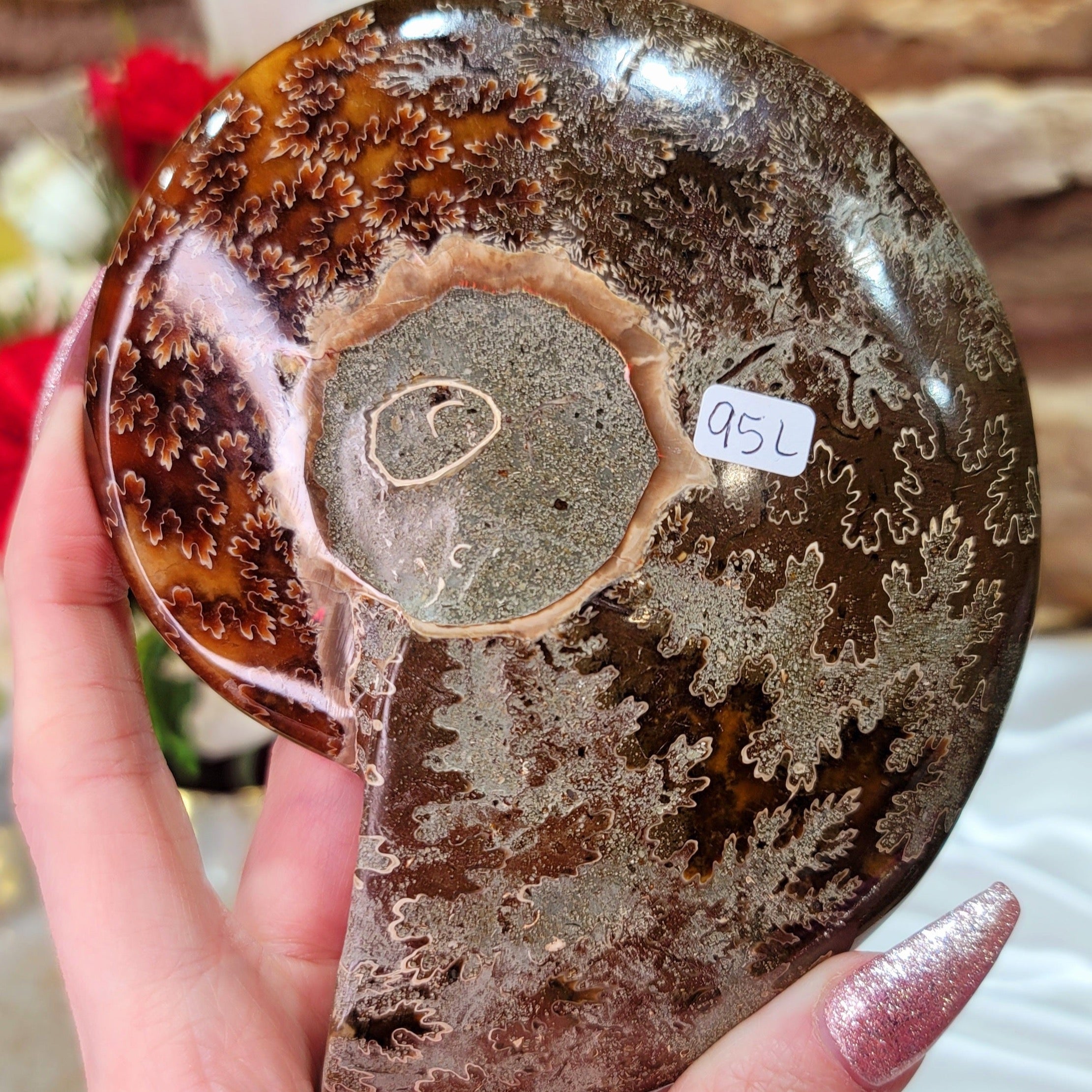 Ammonite Bowl for Balance, Good Luck, Positive Energy and Protection (95L)