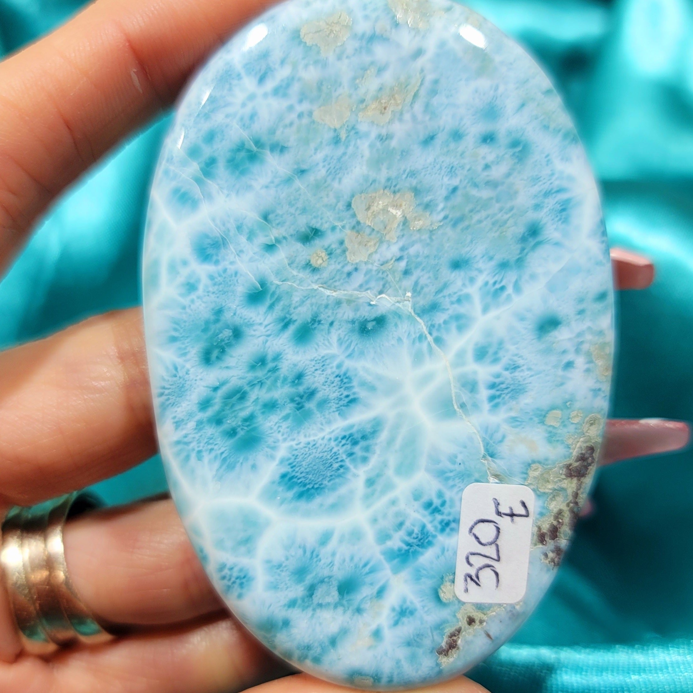Larimar Palm for Peace and Tranquility (320E)