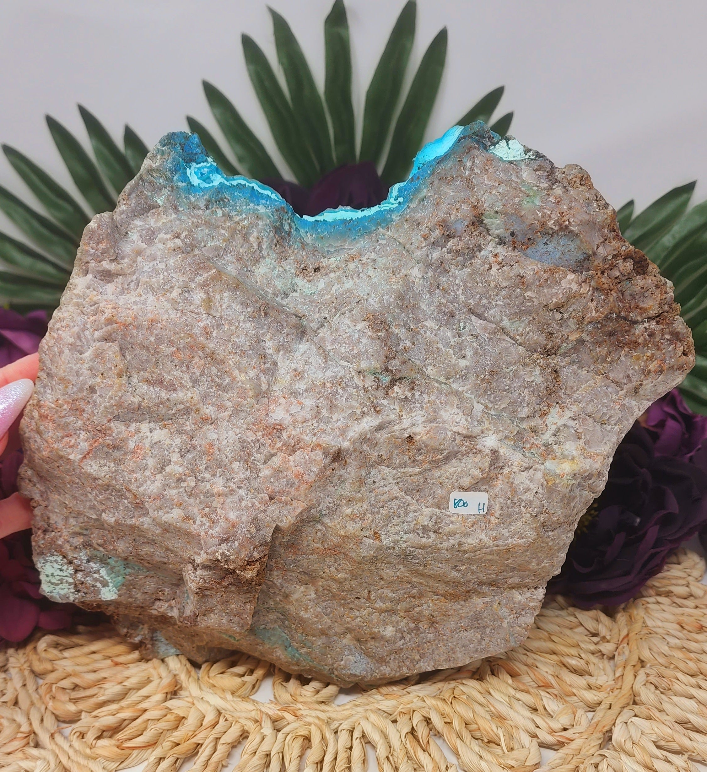 Druzy Chrysocolla Statement Specimen for Empowerment and Connecting with Divine Feminine