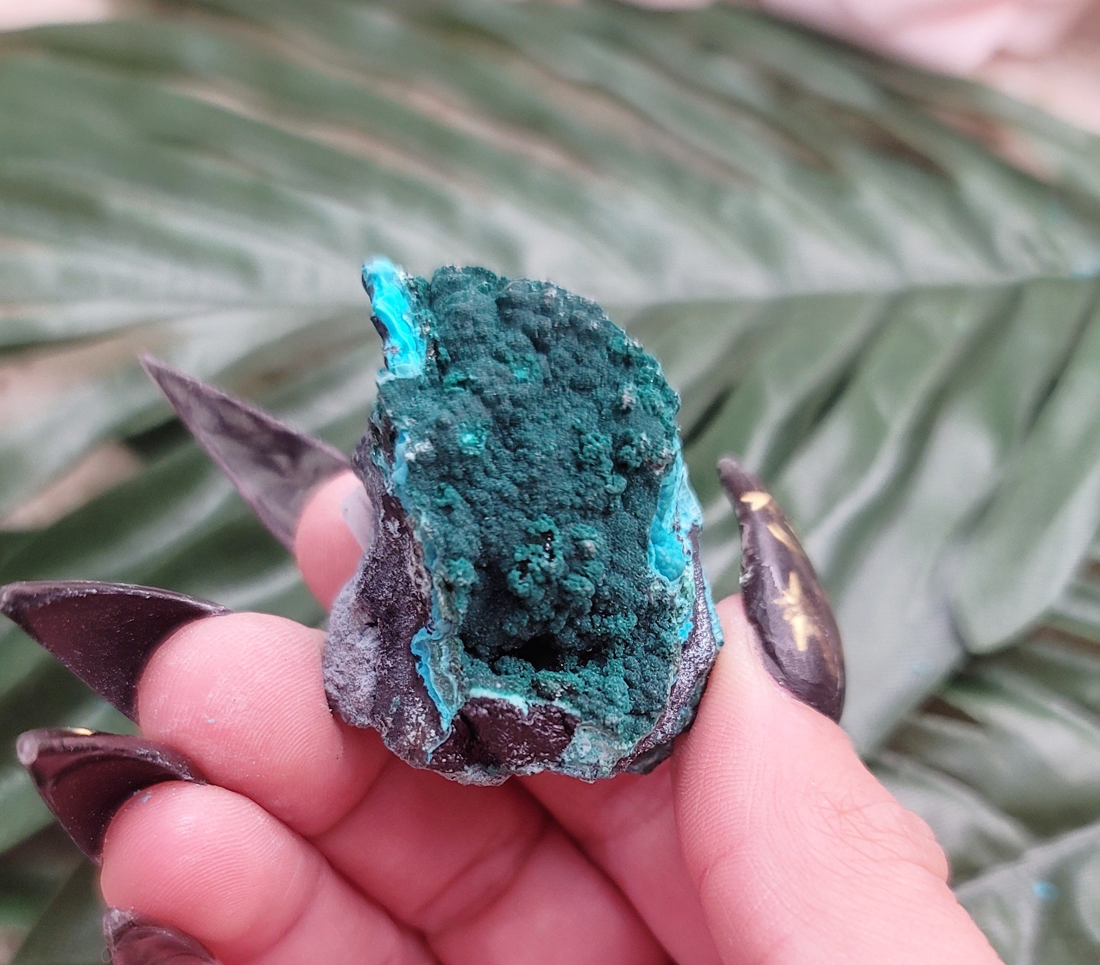 Chrysocolla with Malachite Raw Specimen for Empowerment, Harmony and Truth