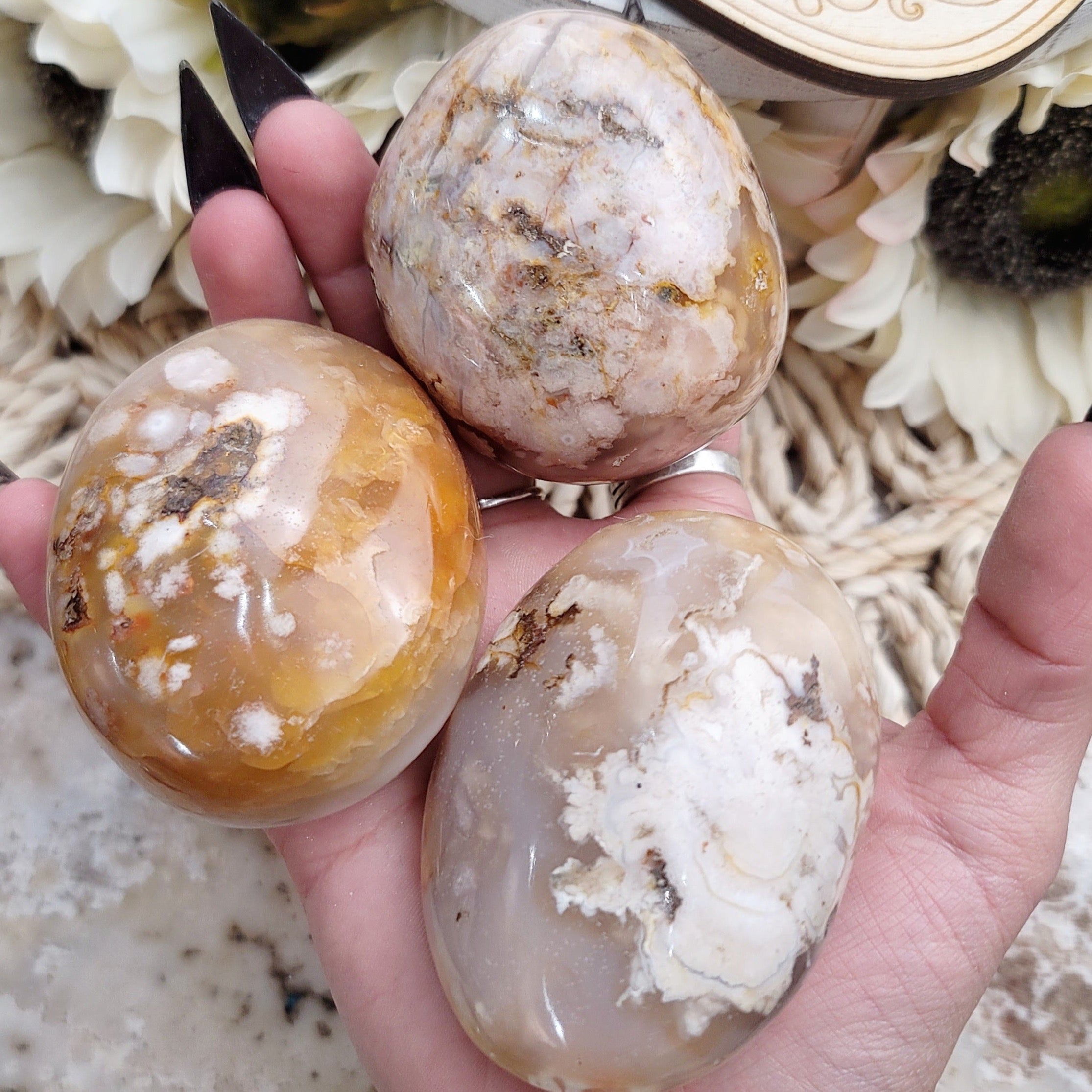 Flower Agate Palm for Embracing your Full Potential And Blossoming your aura