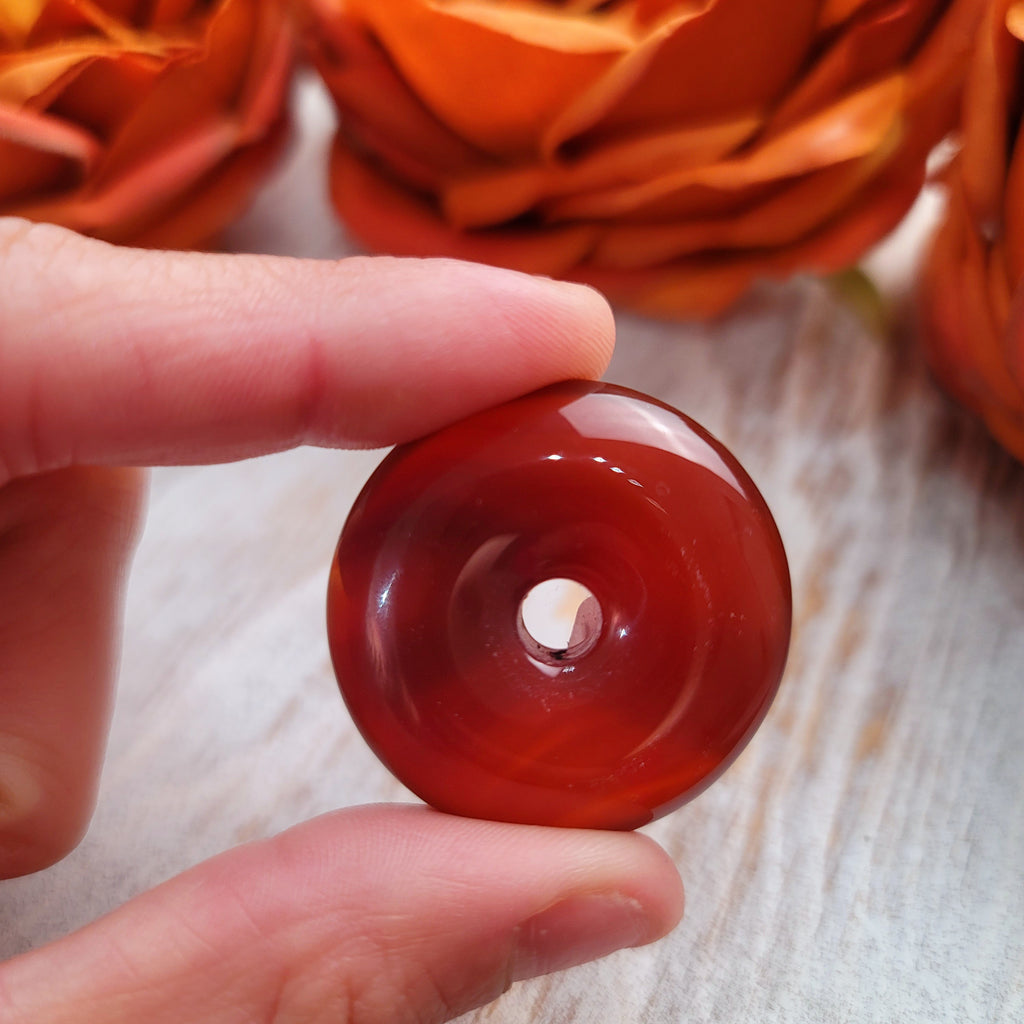 20221209_142317_1024x1024.jpg?