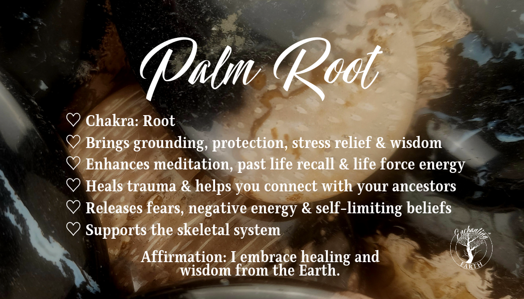 Palm Root Harmonizer for Ancient Knowledge, Power and Strength