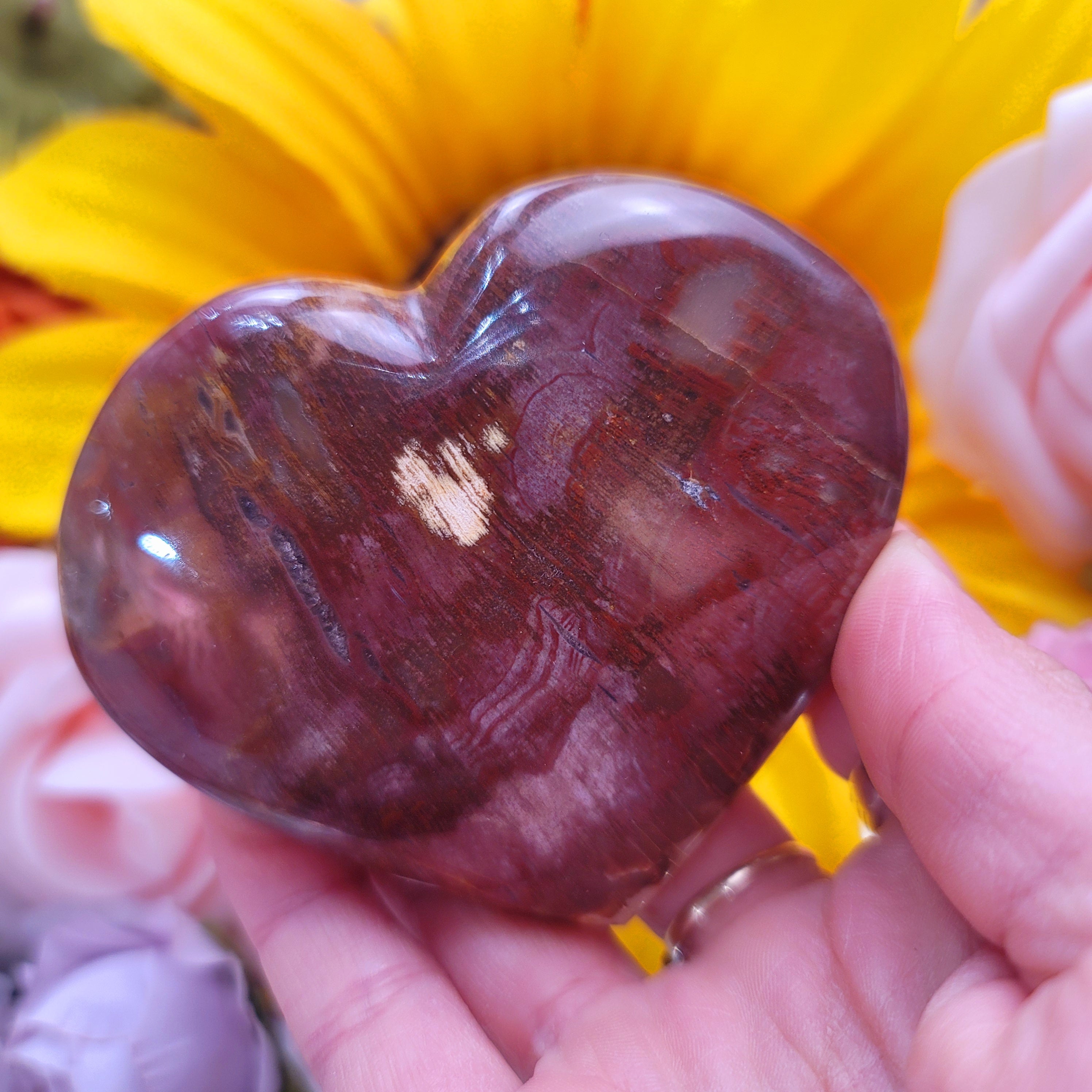Petrified Wood Heart for Ancient Knowledge, Power and Strength