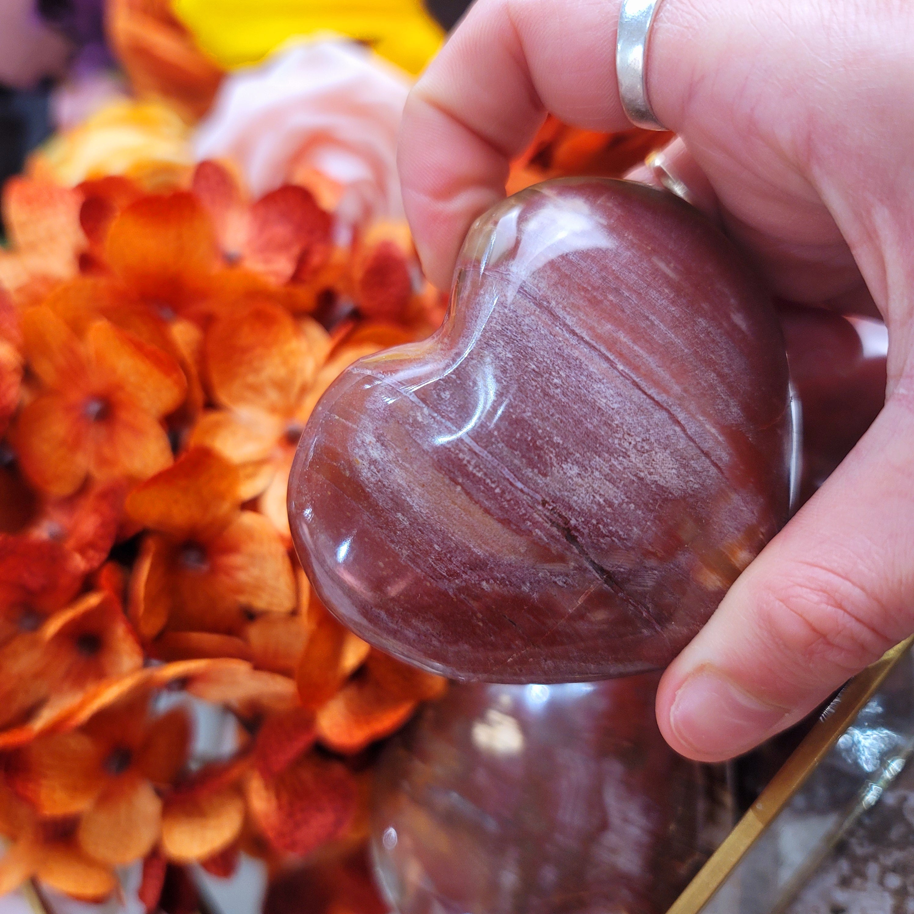 Petrified Wood Heart for Ancient Knowledge, Power and Strength