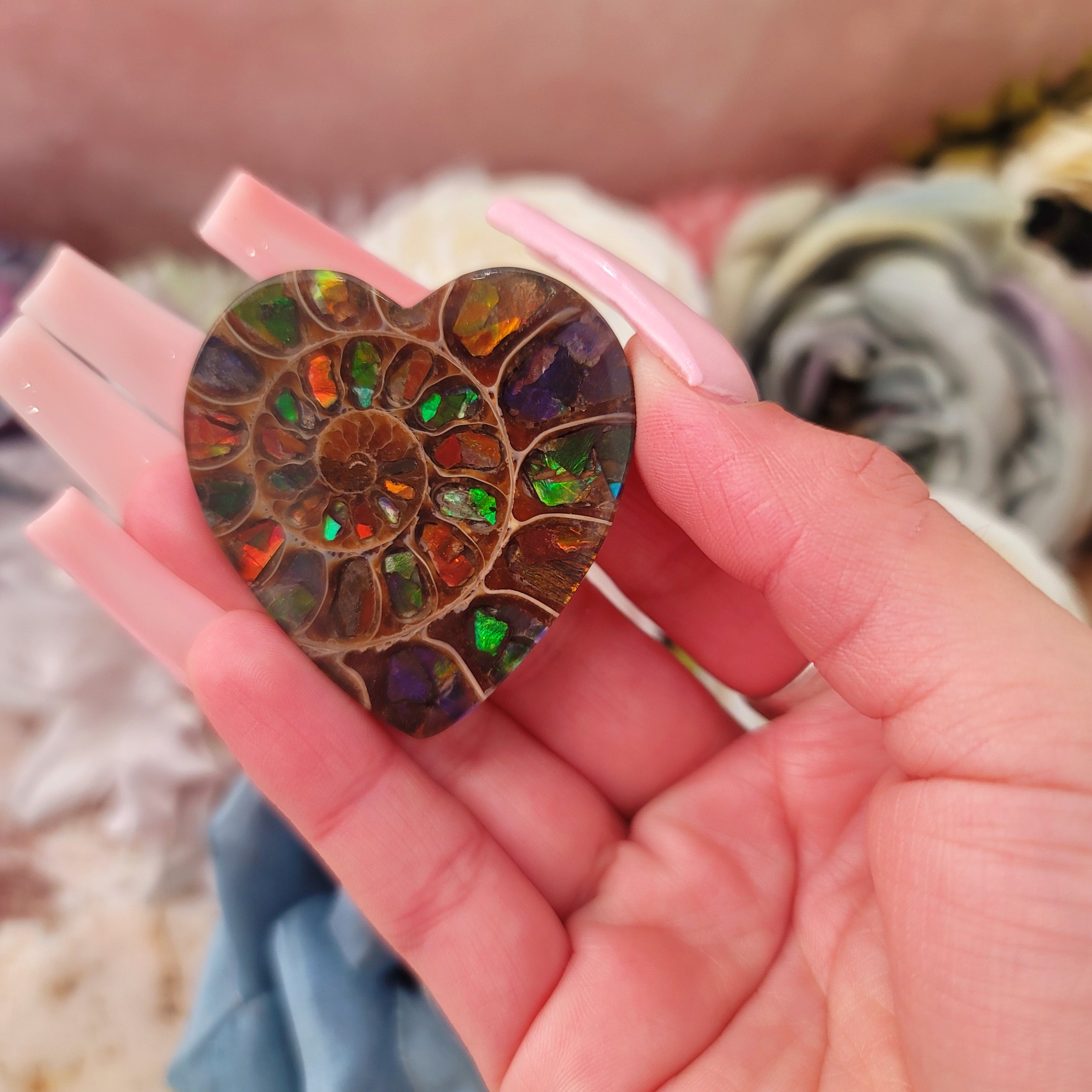 Ammonite with Ammolite Heart Inlay for Good Luck, Prosperity and Protection