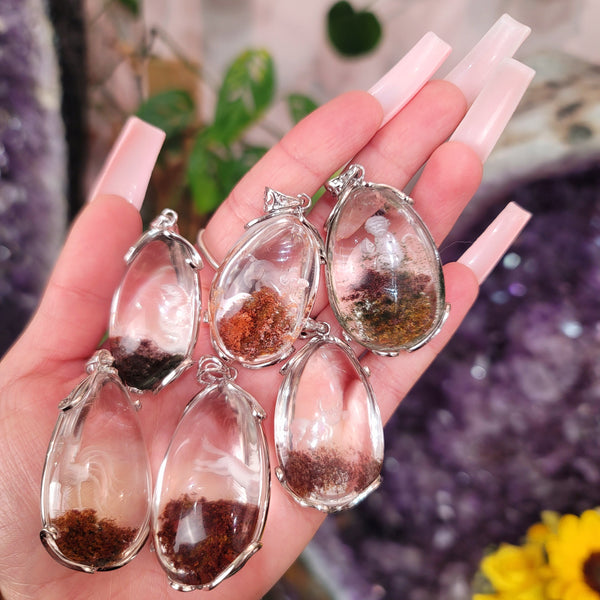 20230224_142803_grande.jpg?v=