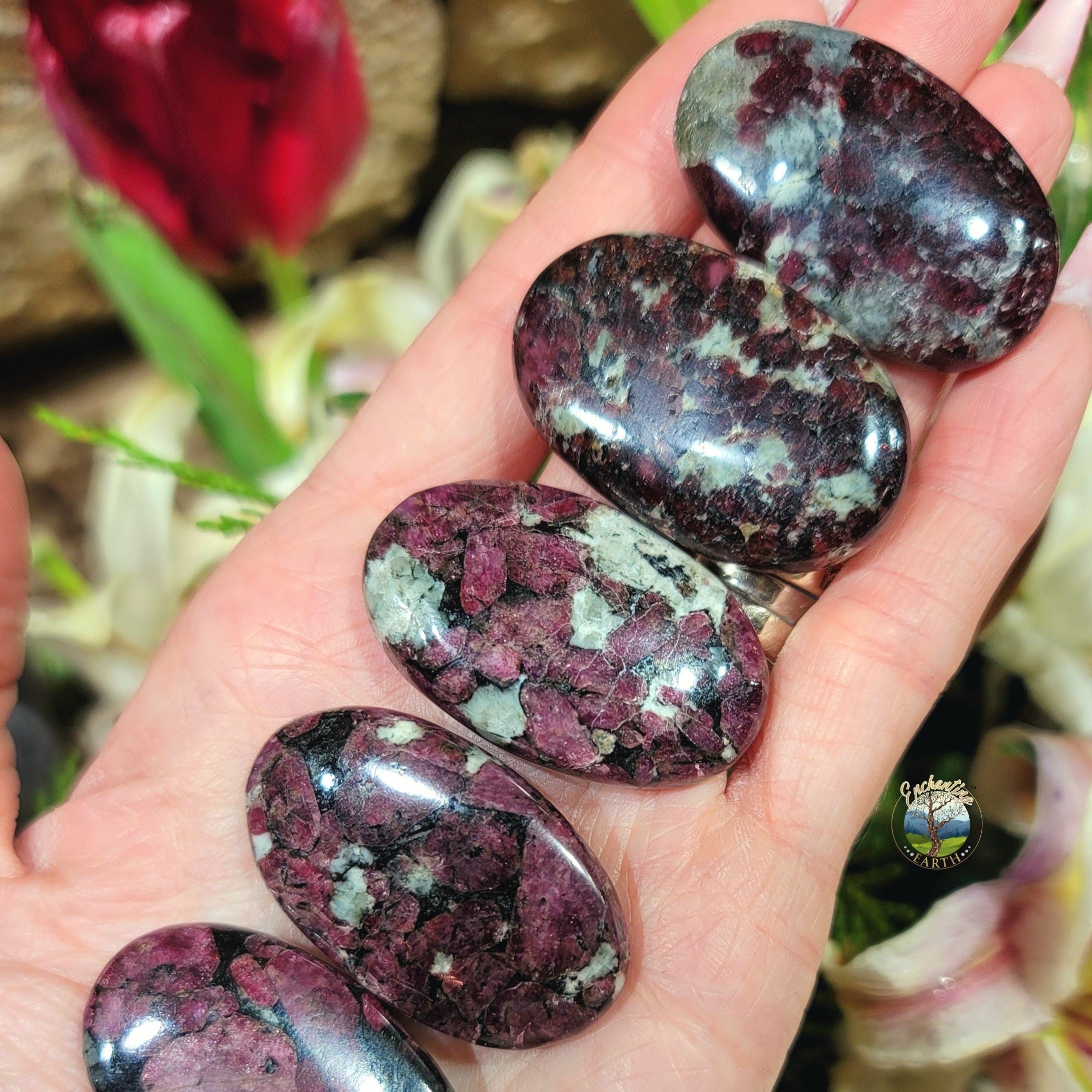 AAA Eudialyte Mini Palm for Following Your Heart, Manifesting your Desires, and Self Love