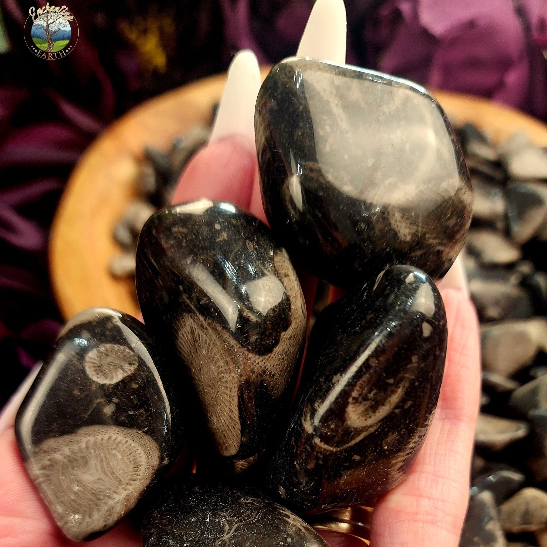Vatican Stone Tumble for Peace and Spiritual Healing