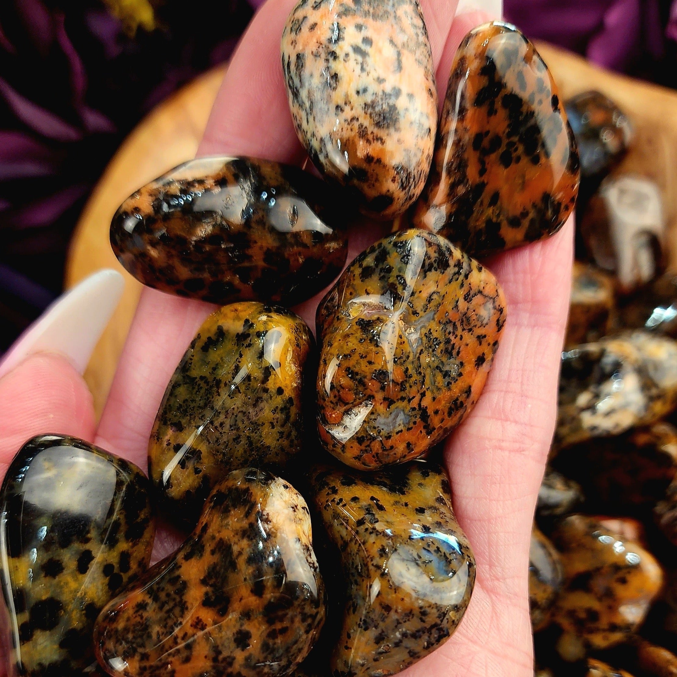 Cheetah Agate Tumble for Courage, Strength and Wisdom
