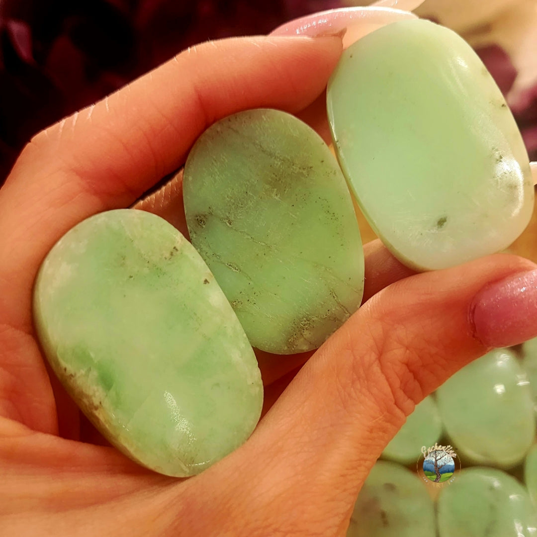 Chrysoprase Worry Stone for Healing, Growth and Rebirth