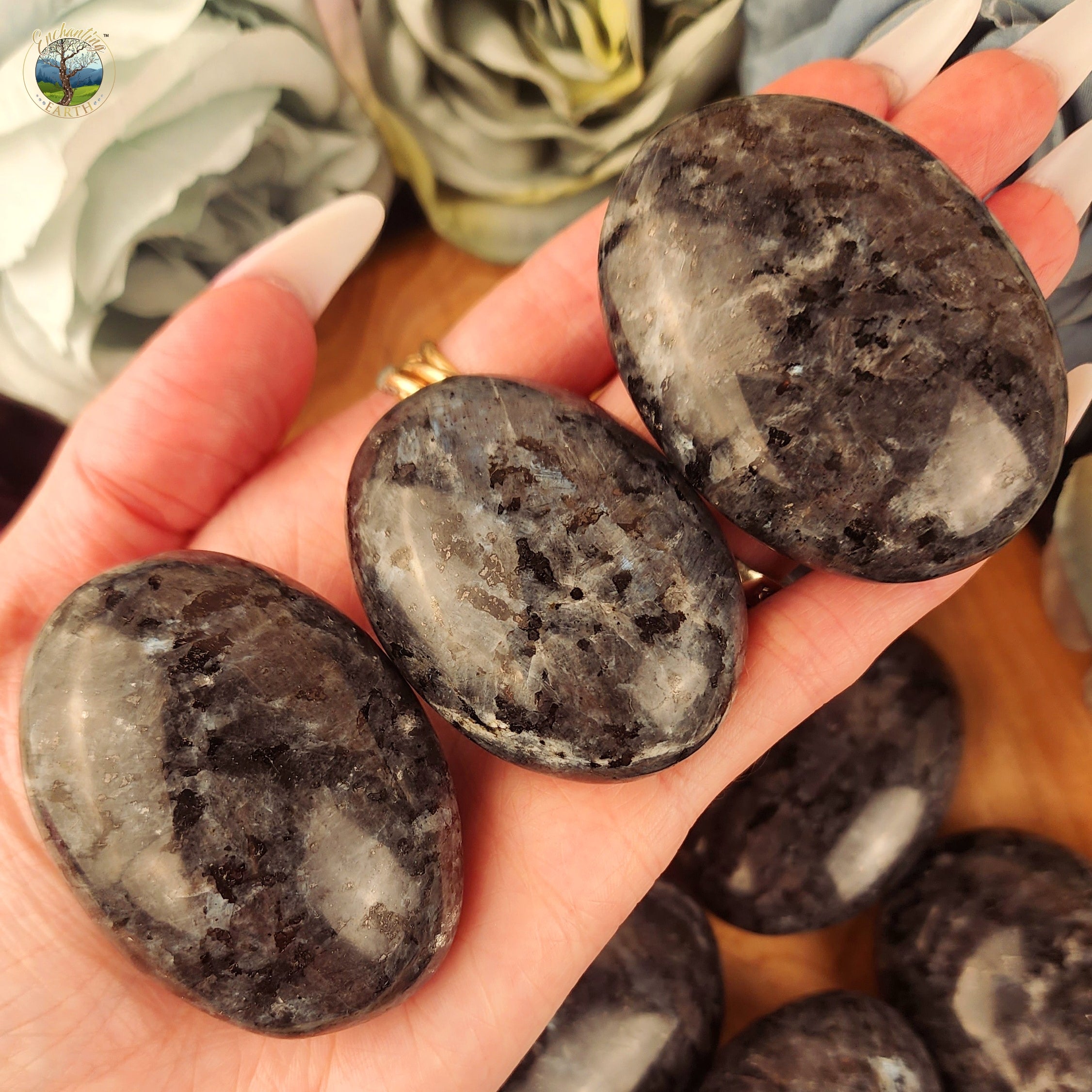 Larvikite Palm Stone for Comfort, Prosperity and Stability
