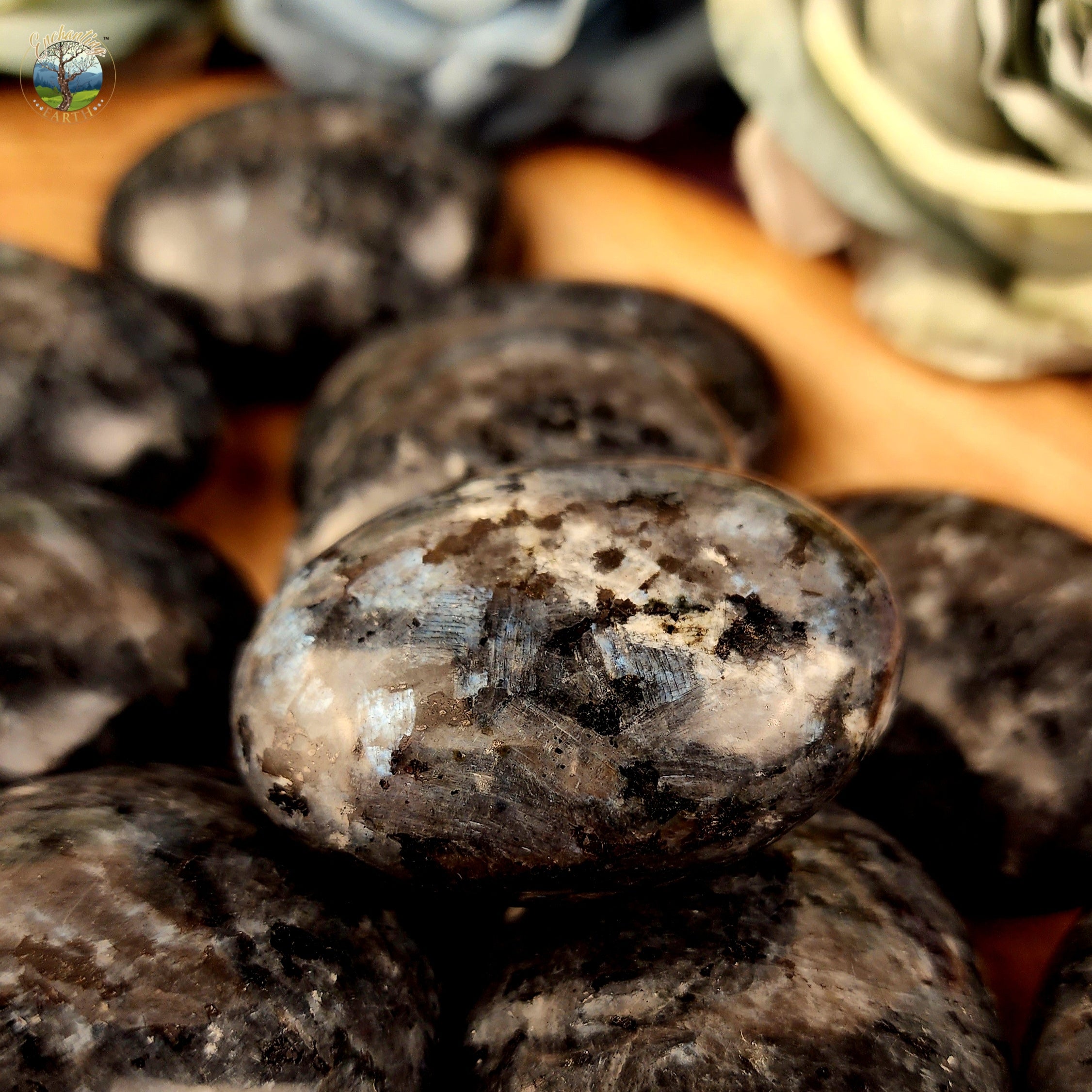 Picsart_22-05-01_13-36-57-162.jpg?v=1651430419\u0026width=1080